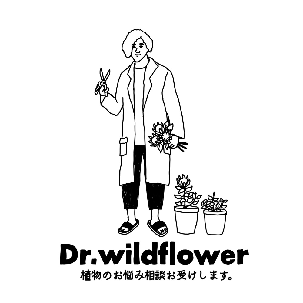 Dr.WILD FLOWER